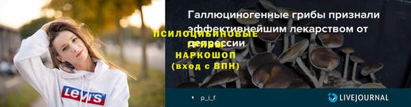 ГАЛЛЮЦИНОГЕННЫЕ ГРИБЫ Алексеевка