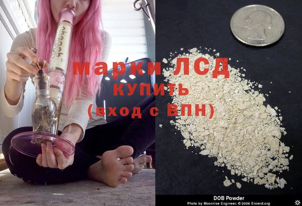 spice Алзамай